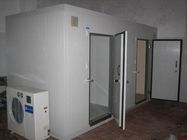 Độ dày 100mm Màu trắng tùy chỉnh Phòng lạnh thương mại 220V 380V Phòng lưu trữ tủ đông