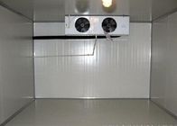 Tủ lạnh có chiều cao 2M Phòng lạnh Phòng chứa làm mát bằng thép 1.0mm