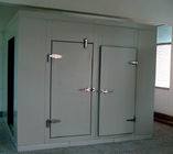 Tủ đông phòng mát tùy chỉnh Phòng lạnh bằng thép 1.0mm để bảo quản thịt 2 * 3 * 2.6M