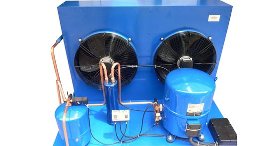 France Maneurop Hermetic Air Cooled Rerigertion Unit, Thiết bị ngưng tụ làm mát bằng không khí tùy chỉnh được sử dụng cho kho lạnh