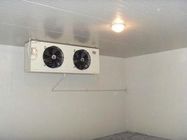 Phòng lạnh Bespoke Phòng bảo quản rau quả 100mm Panel